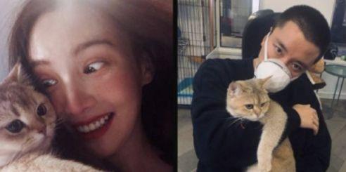 金晨工作室最新爆料,揭秘明星幕后故事与真实情感